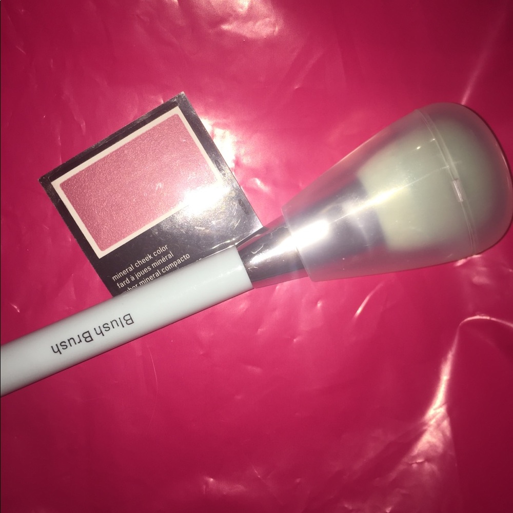 Blush Brush & Brush Holder